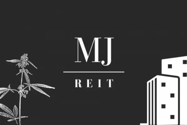 Industrial Cannabis Debt photo 1